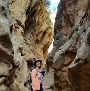 Meet your Posher, Cinnamon